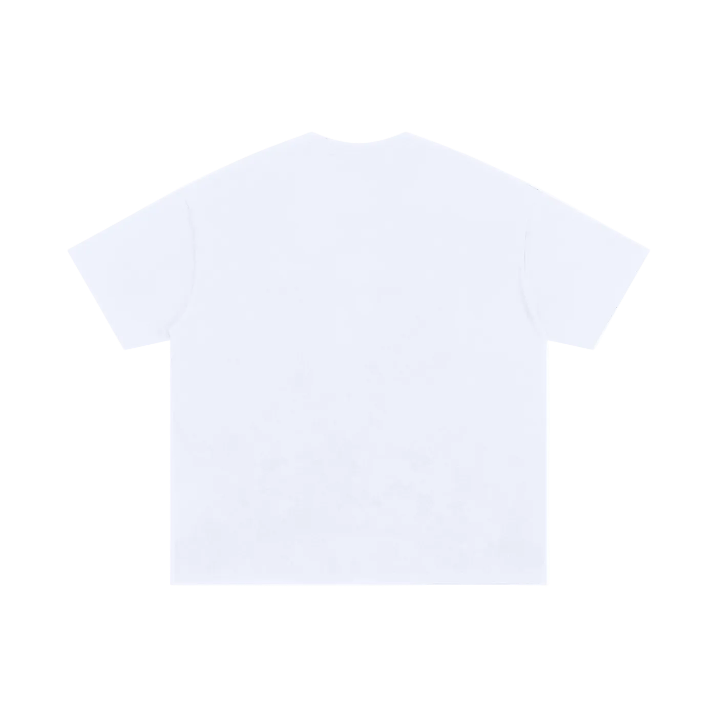 SATE T-shirt (white)